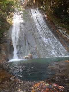 南紀沢登りの旅①…滝本北谷_c0359615_23583377.jpg