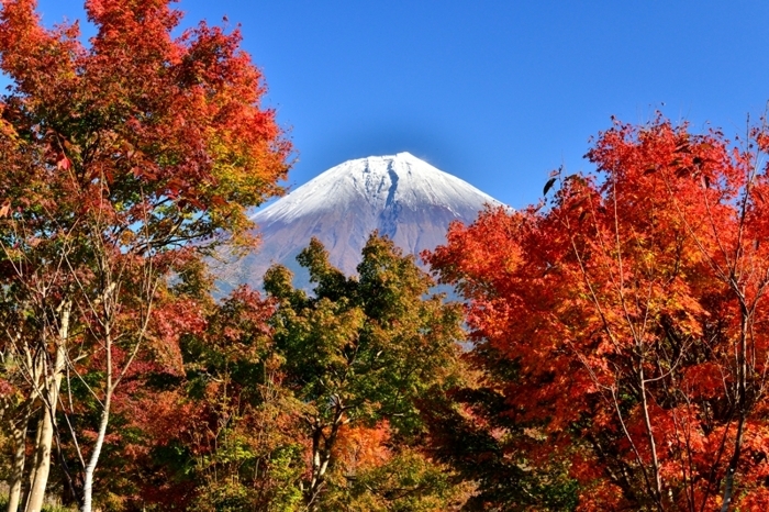 b0369916_18441376.jpg