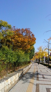 a0172222_22375390.jpg