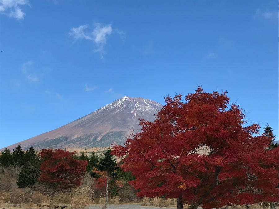 富士山と紅葉_b0374023_16534385.jpg