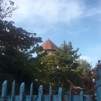 e0305824_18594228.jpg