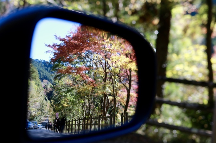 【秋川渓谷】「野外テラス 水の音」_f0348831_23052181.jpg