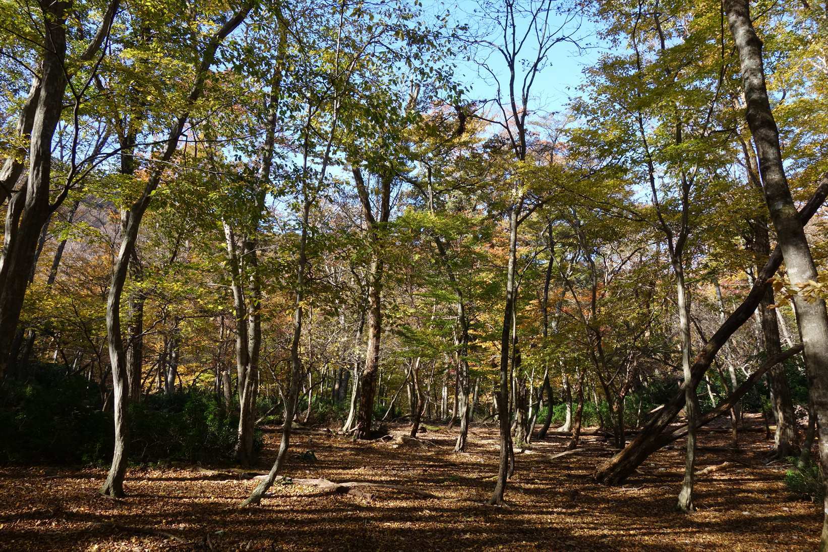 f0348933_21332342.jpg