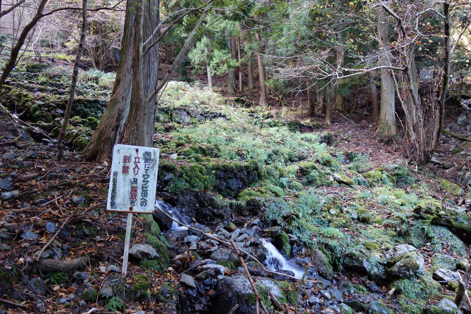 f0348933_21425771.jpg