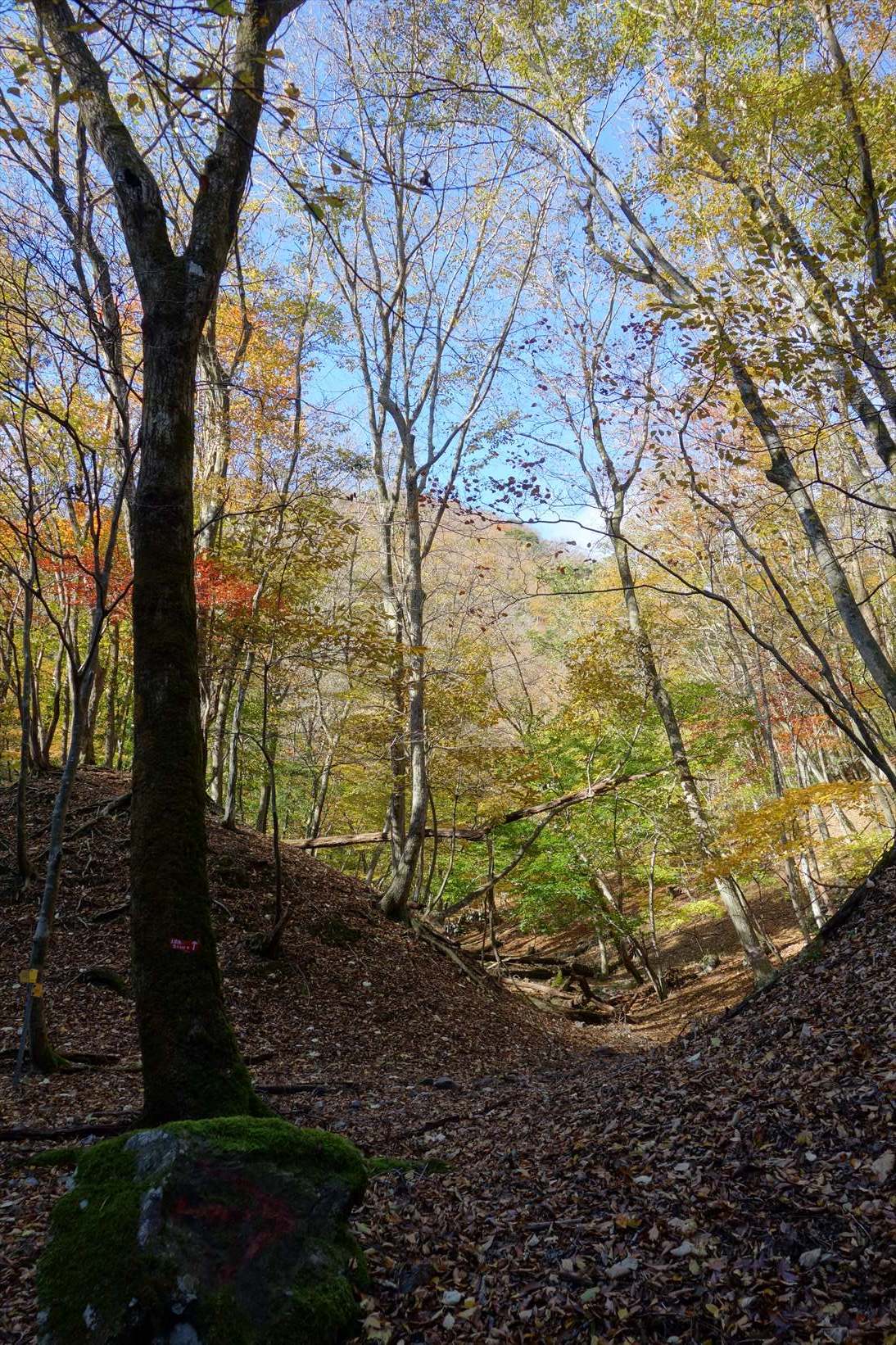 f0348933_21441111.jpg