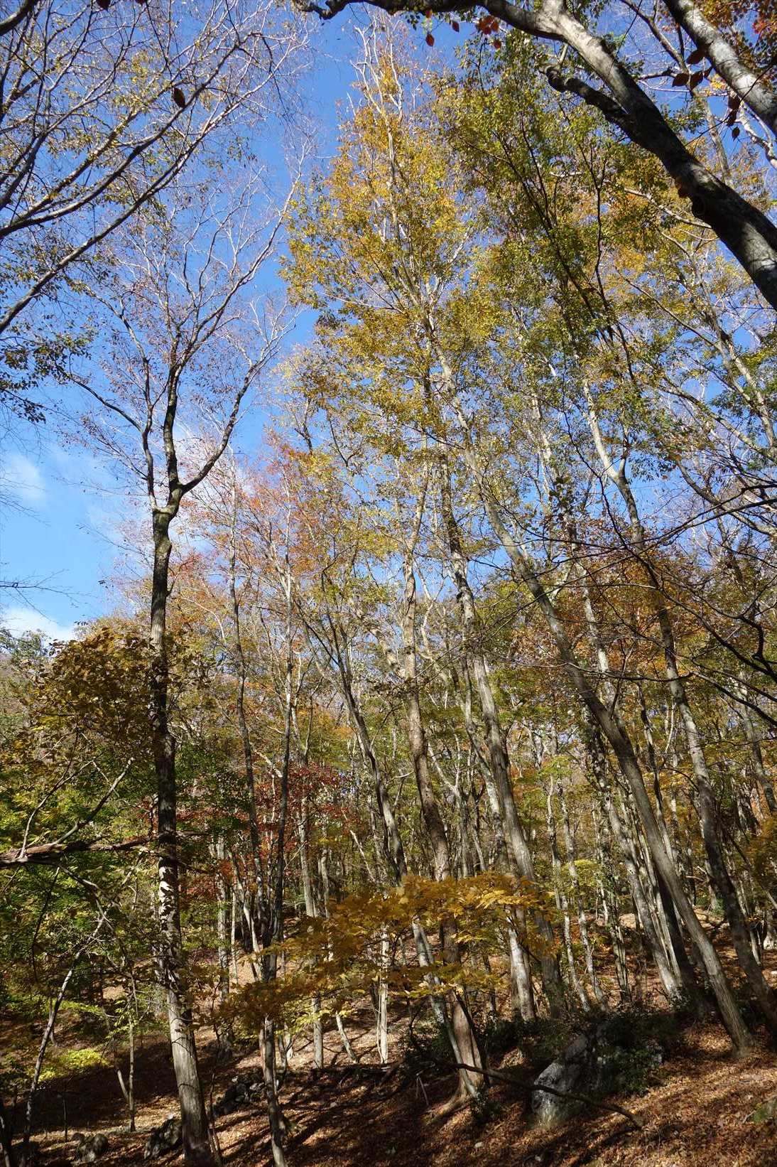 f0348933_21444107.jpg