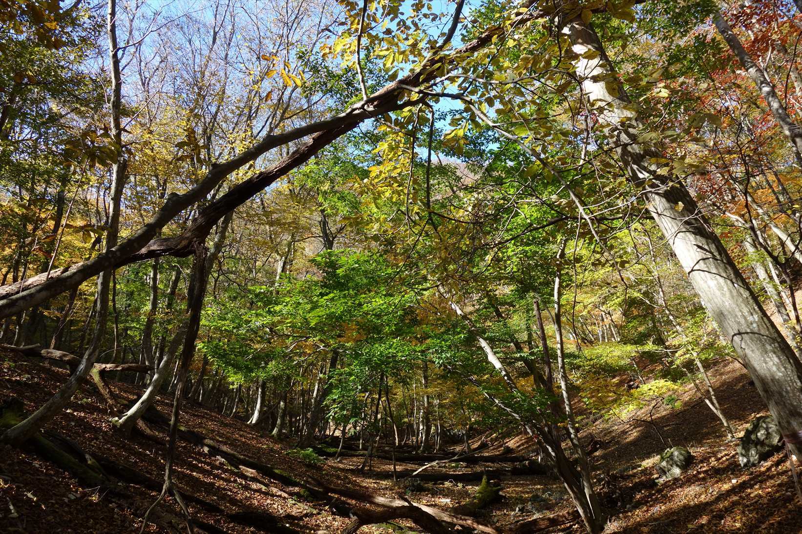 f0348933_21453850.jpg