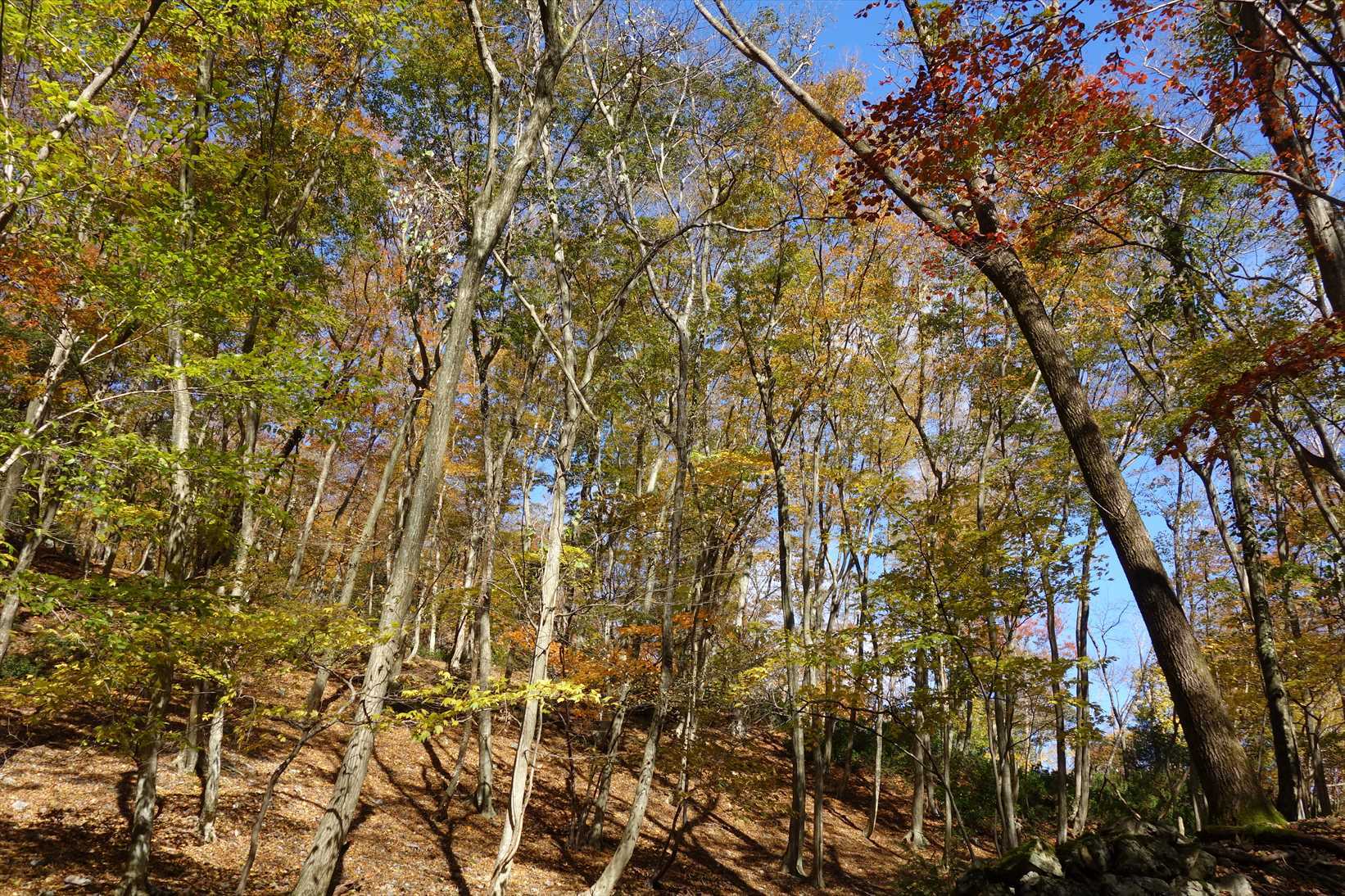 f0348933_21461860.jpg