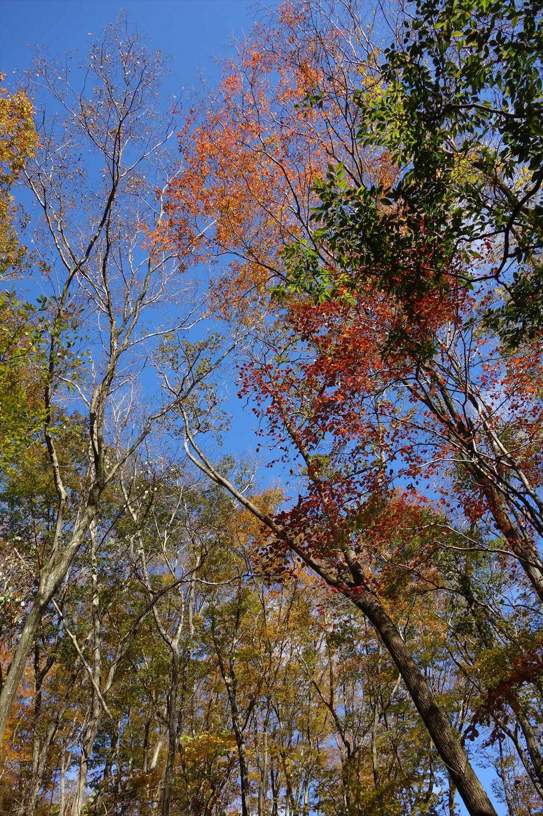 f0348933_21465172.jpg