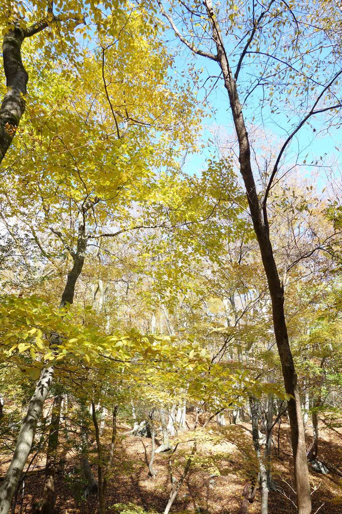 f0348933_21473955.jpg
