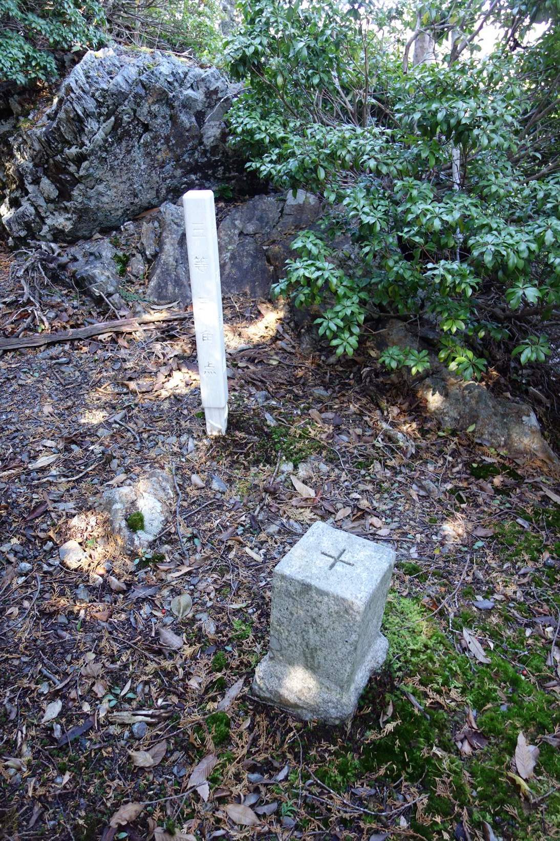 f0348933_21555433.jpg