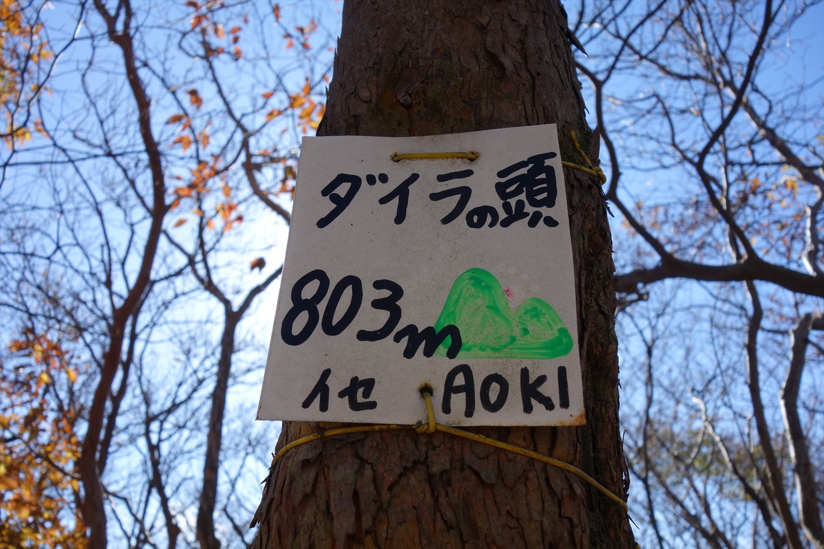 f0348933_21573380.jpg