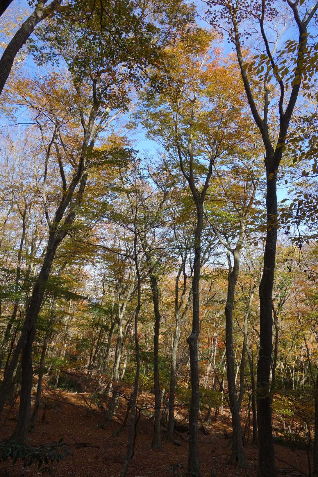 f0348933_22014749.jpg