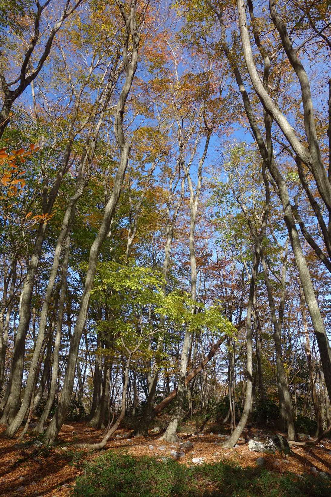f0348933_22024594.jpg