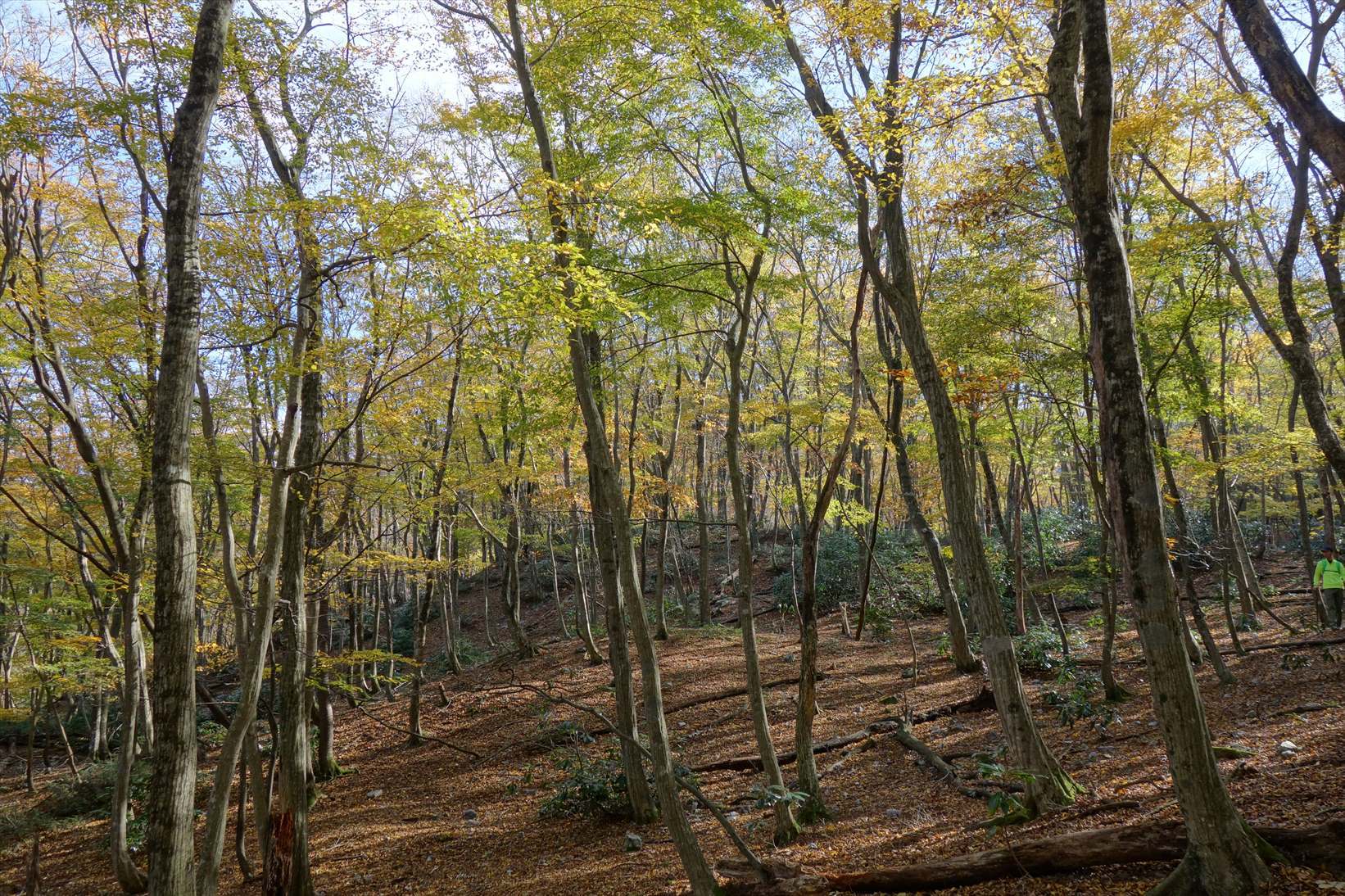 f0348933_22033023.jpg
