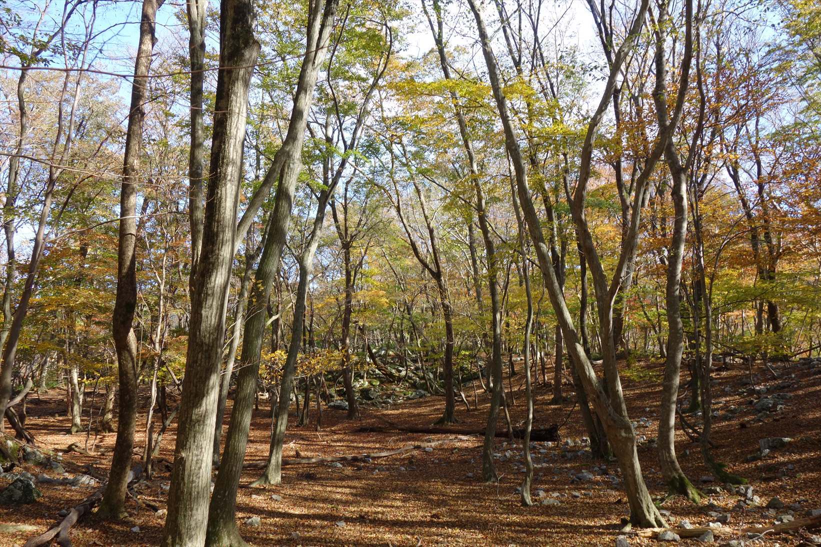 f0348933_22053577.jpg