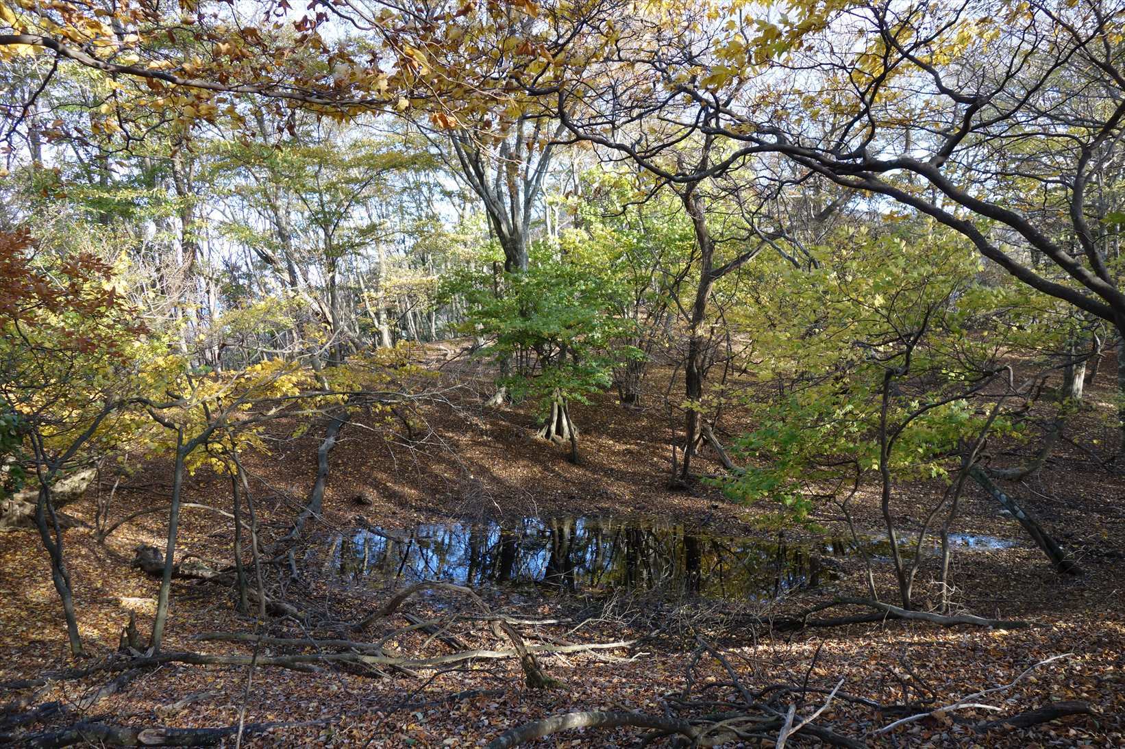 f0348933_22080375.jpg