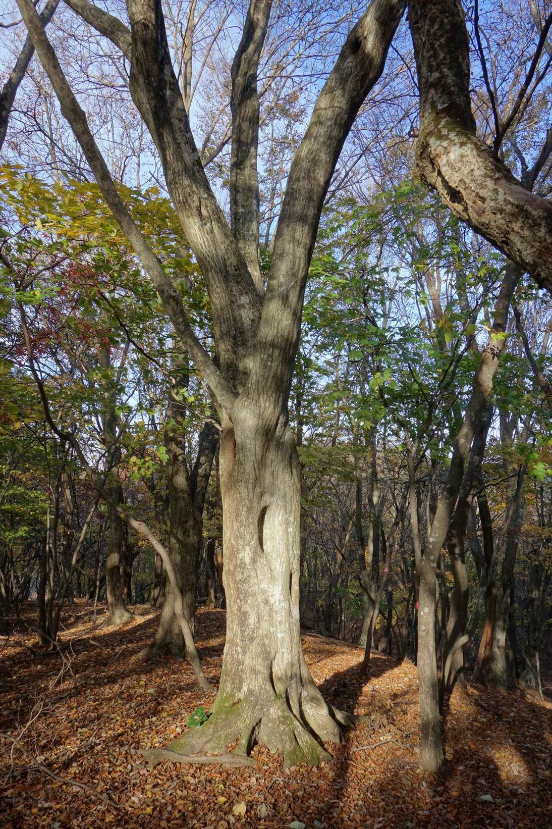 f0348933_22083561.jpg