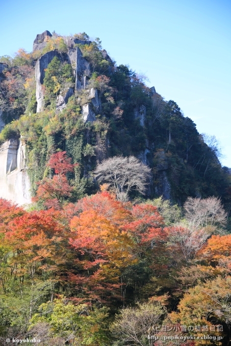d0140234_20310939.jpg