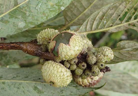c0177135_21174045.jpg