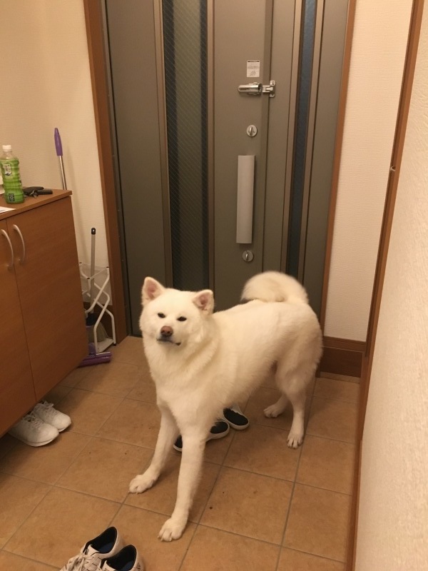 e0364035_00492784.jpeg