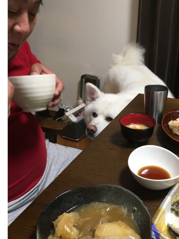 e0364035_00520332.jpeg