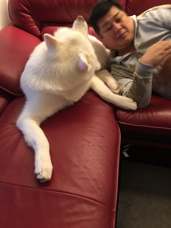 e0364035_01241725.jpeg