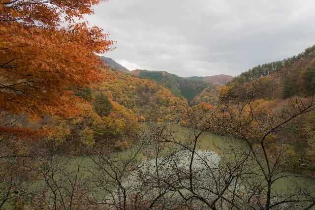 f0158043_22024536.jpg