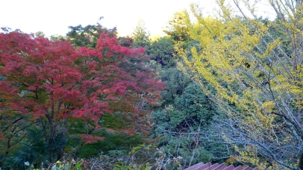 e0086244_11502242.jpg