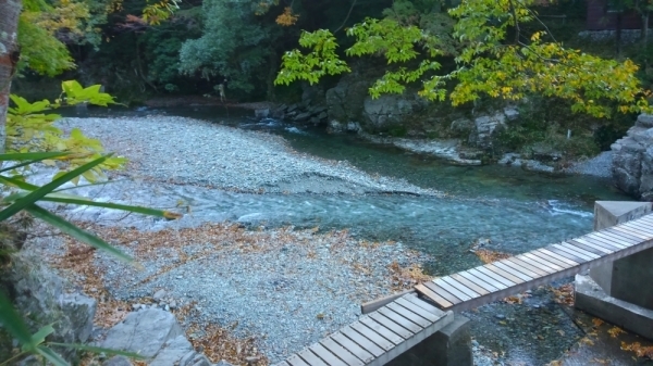 e0086244_11504165.jpg