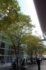 e0080345_08221822.jpg