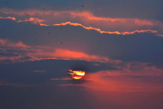 c0093046_17231045.gif