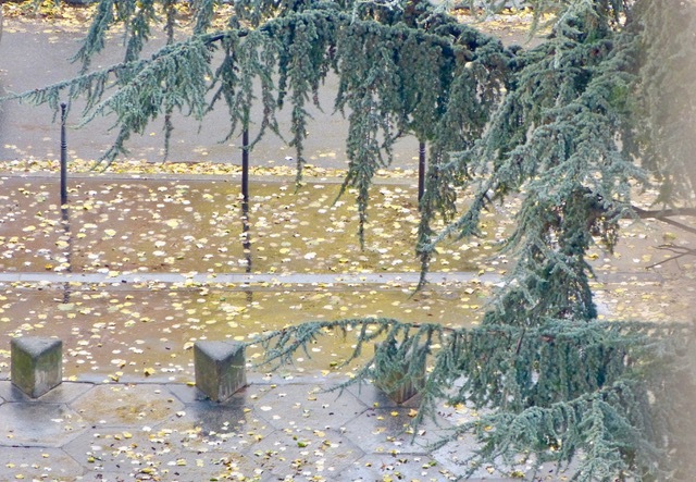 f0221050_07444543.jpeg