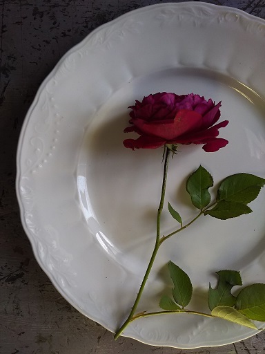 c0172261_06433161.jpg