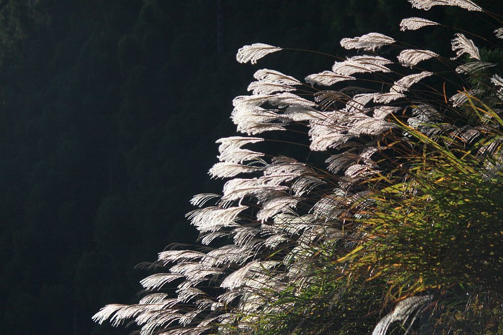 e0220163_17482985.jpg