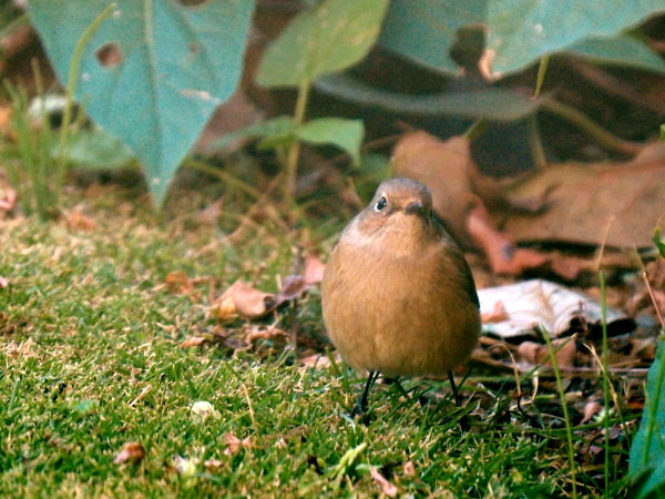 f0208666_20062855.jpg