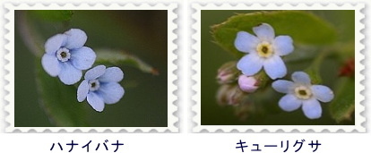 d0102968_08523643.jpg