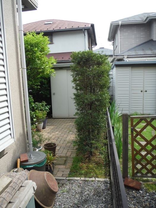 d0165368_02585171.jpg