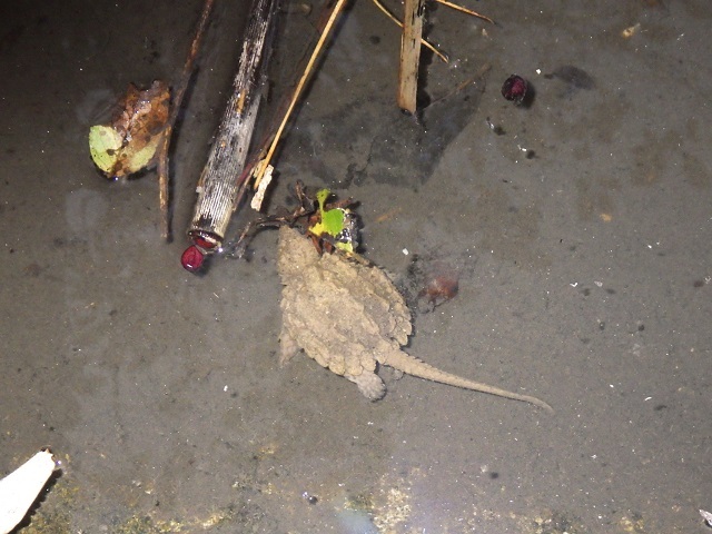 c0105569_02434442.jpg