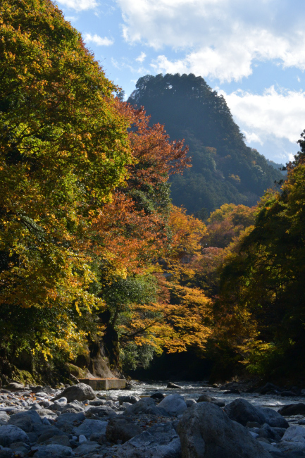 奥多摩氷川渓谷の紅葉_b0183370_14012761.jpg