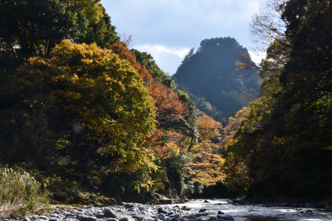 奥多摩氷川渓谷の紅葉_b0183370_14022848.jpg