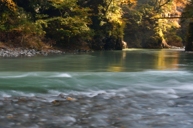 奥多摩氷川渓谷の紅葉_b0183370_14030805.jpg