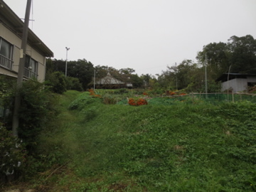 雨上がりの嵐山滑川ポタ　2_c0337875_01255064.jpg