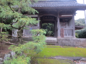 雨上がりの嵐山滑川ポタ　2_c0337875_01264106.jpg