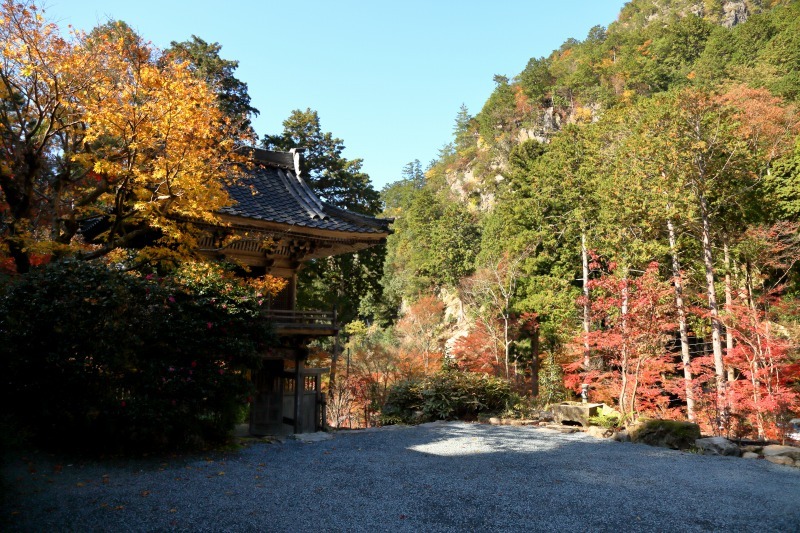 丹波の紅葉 その6 岩瀧寺_c0196076_19020554.jpg