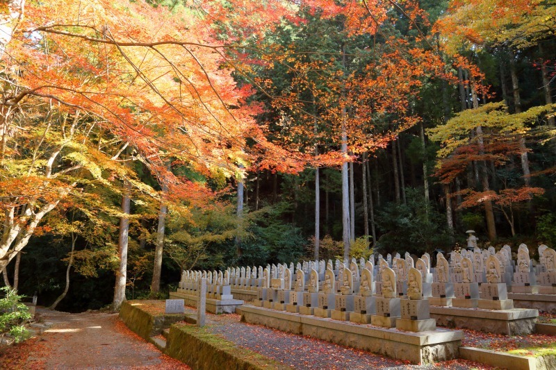 丹波の紅葉 その6 岩瀧寺_c0196076_19020608.jpg