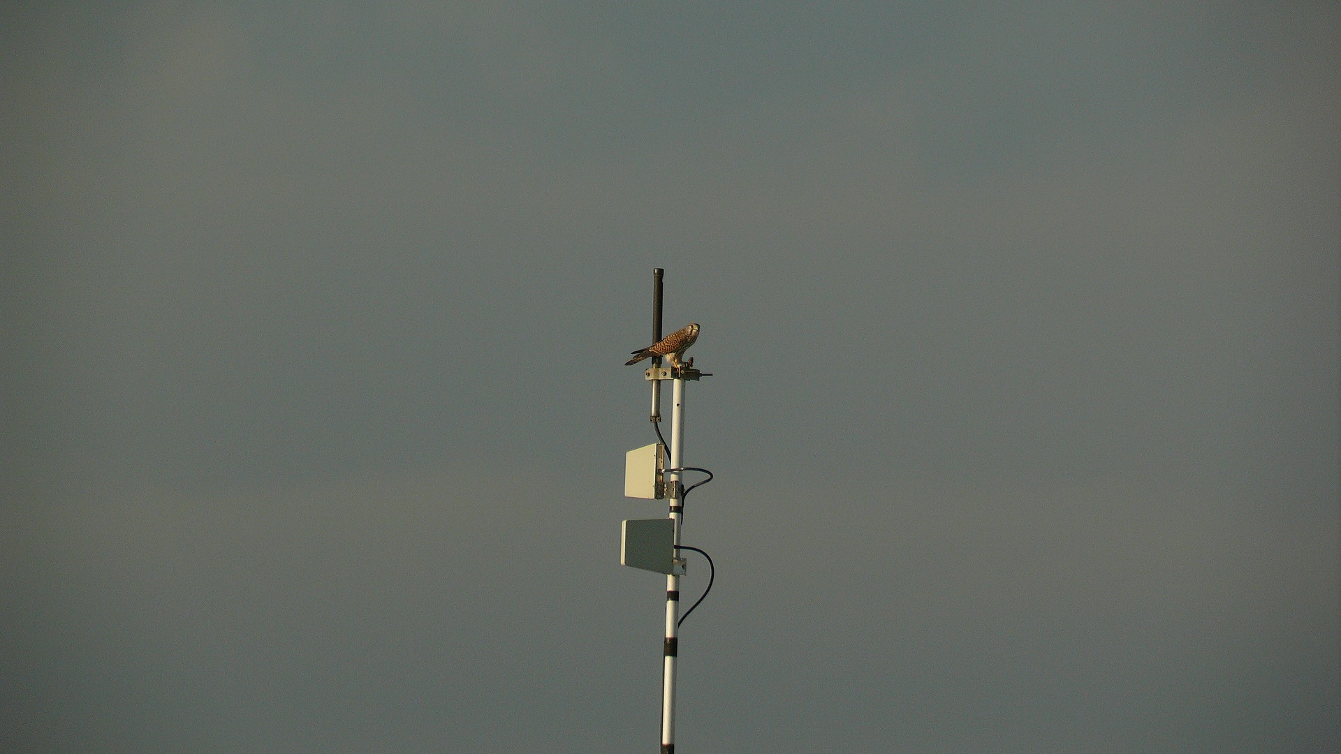 a0185081_10501116.jpg