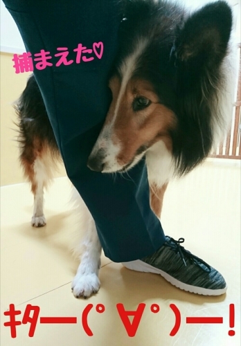 僕の好きなもの♥_f0357682_00185835.jpg
