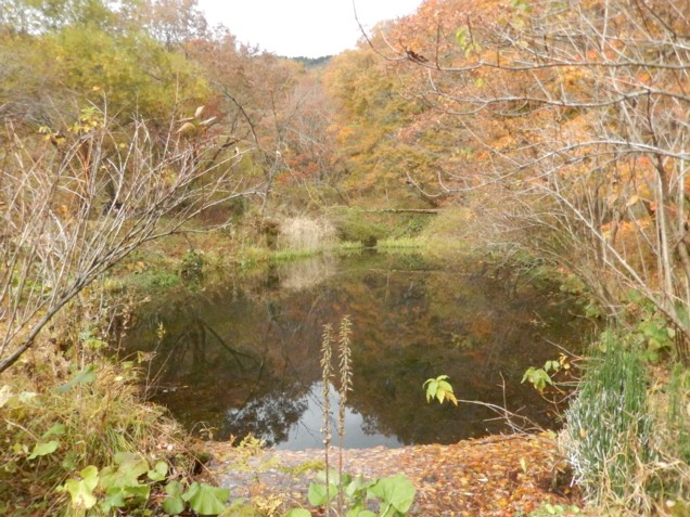 c0144185_14374476.jpg