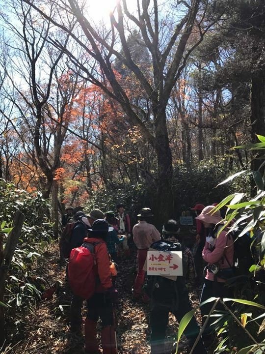 f0357487_07165558.jpeg